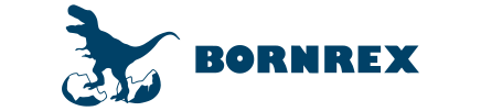 株式会社ボーンレックス　logo